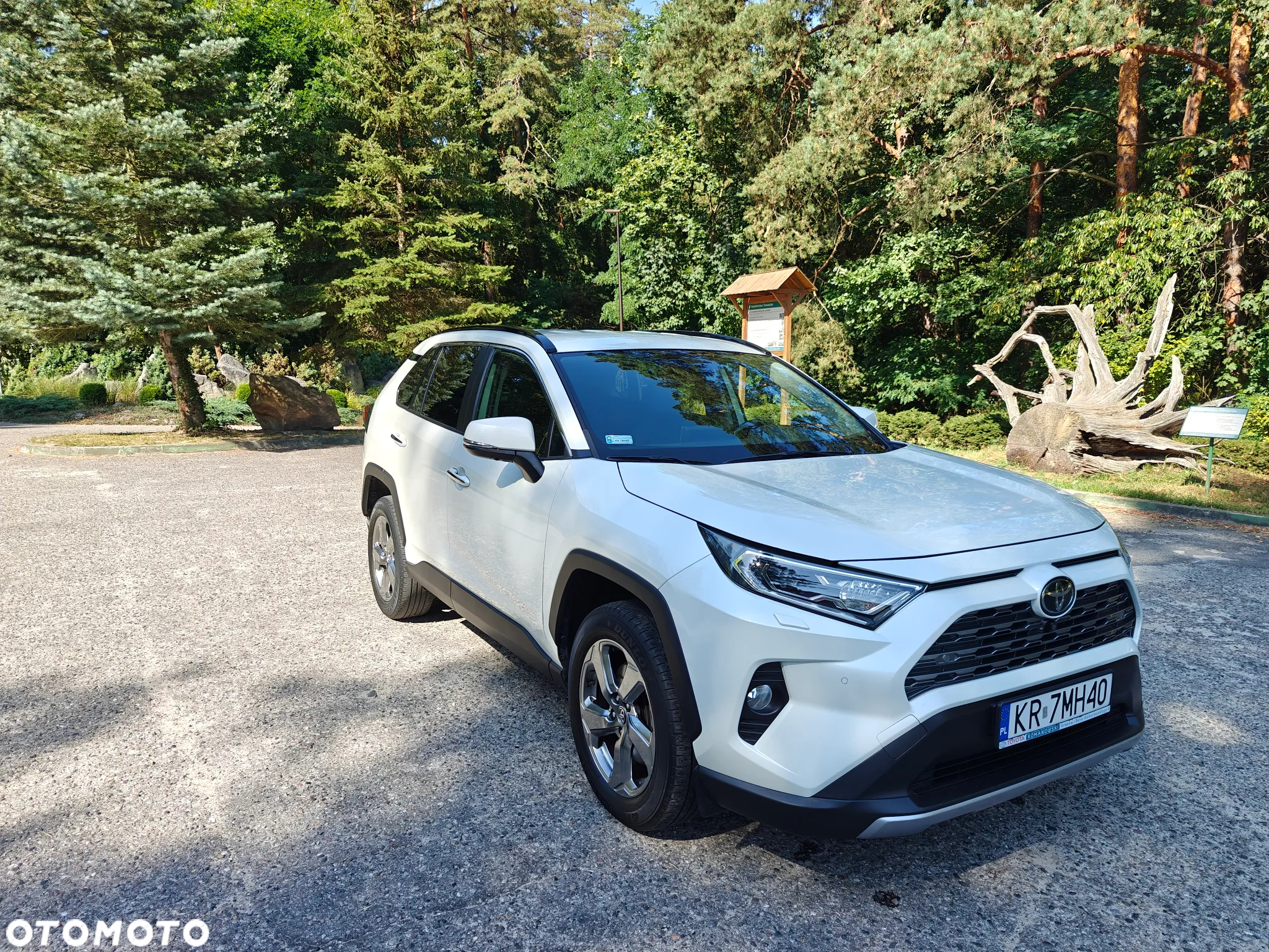 Toyota RAV4 2.0 Executive 4x4 - 5