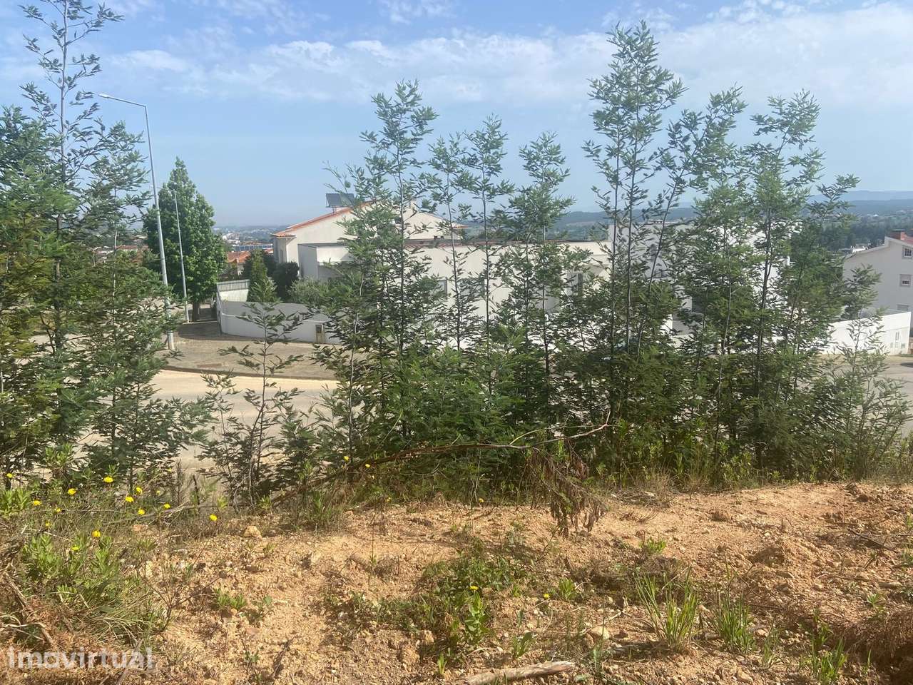 Lote de Terreno  Venda em Moita,Anadia - Grande imagem: 3/36