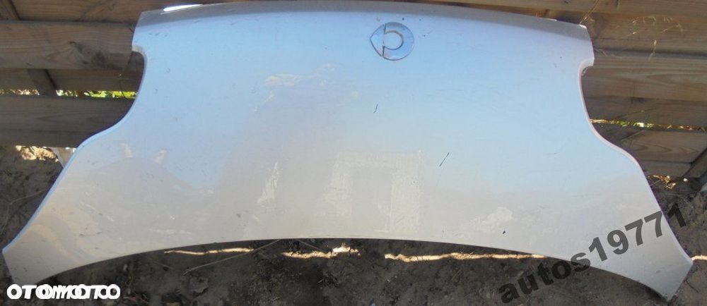 SMART FOR TWO MASKA - 1