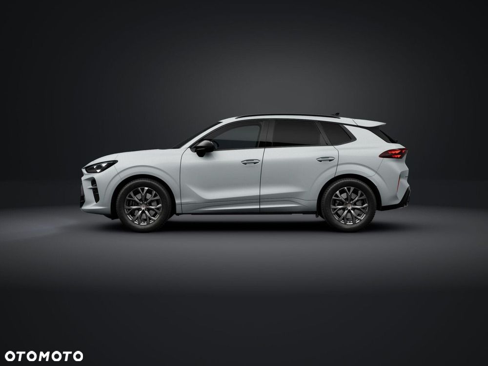 Cupra Terramar - 4