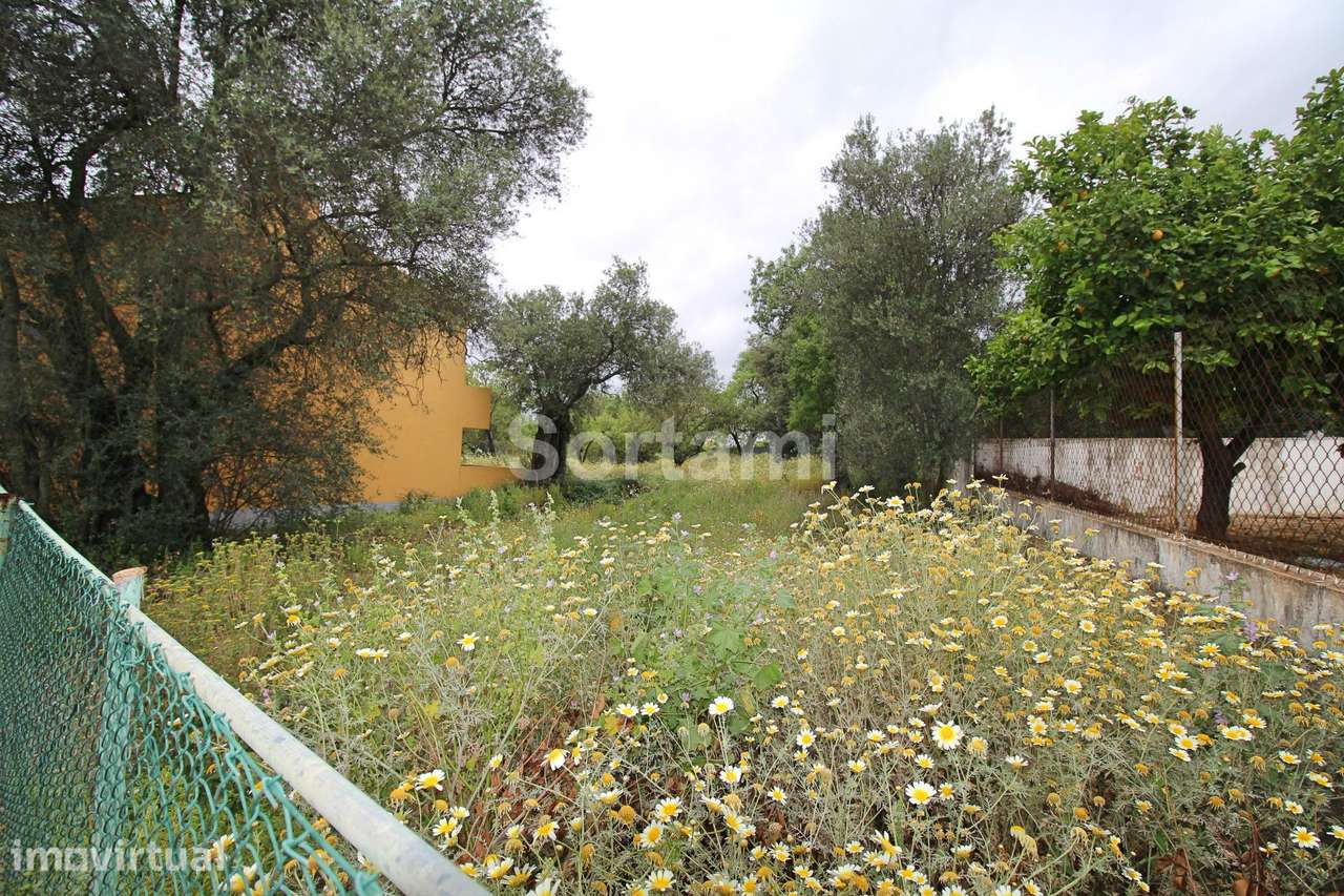 Terreno Para Construção  Venda em Conceição e Estoi,Faro - Grande imagem: 4/5