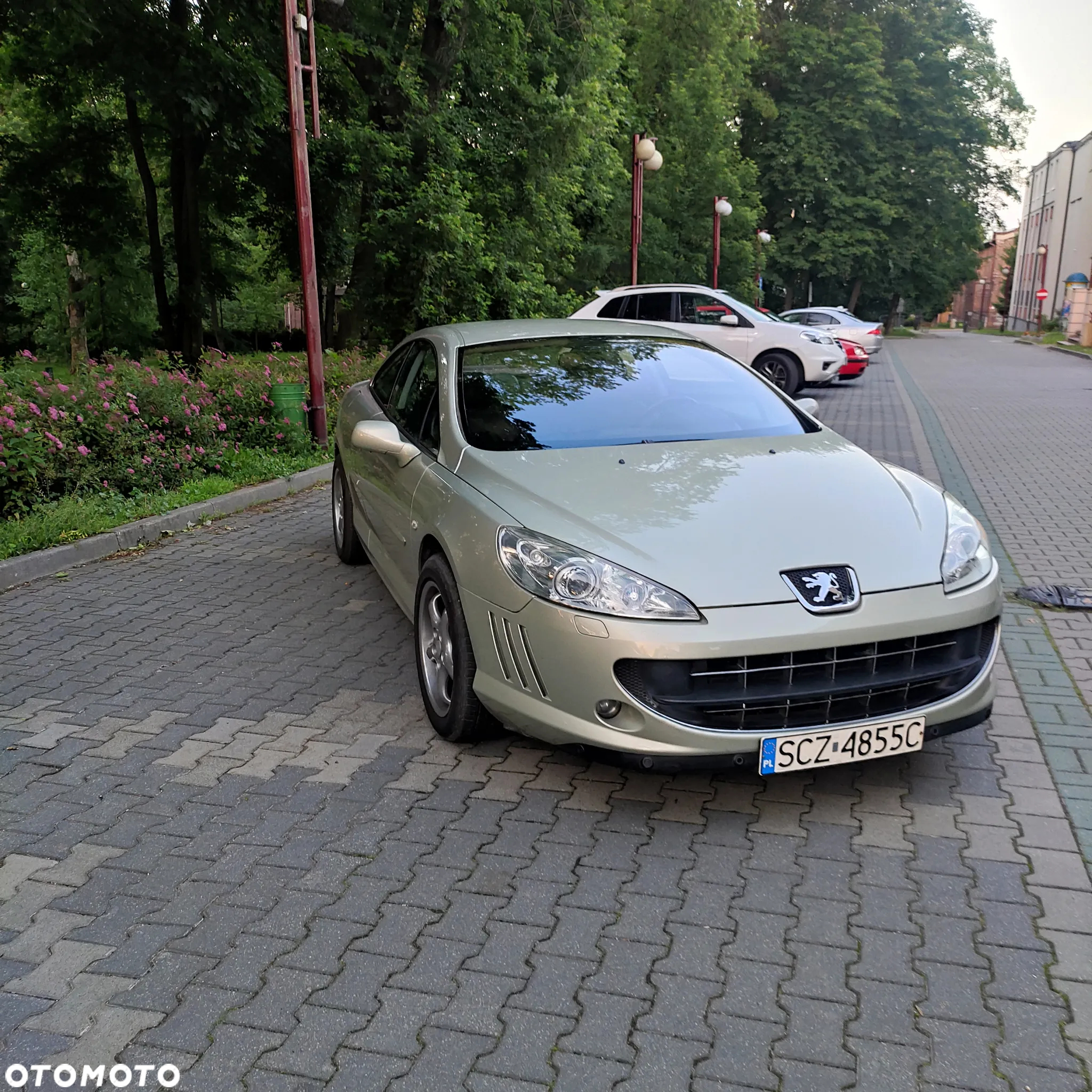 Peugeot 407 - 10