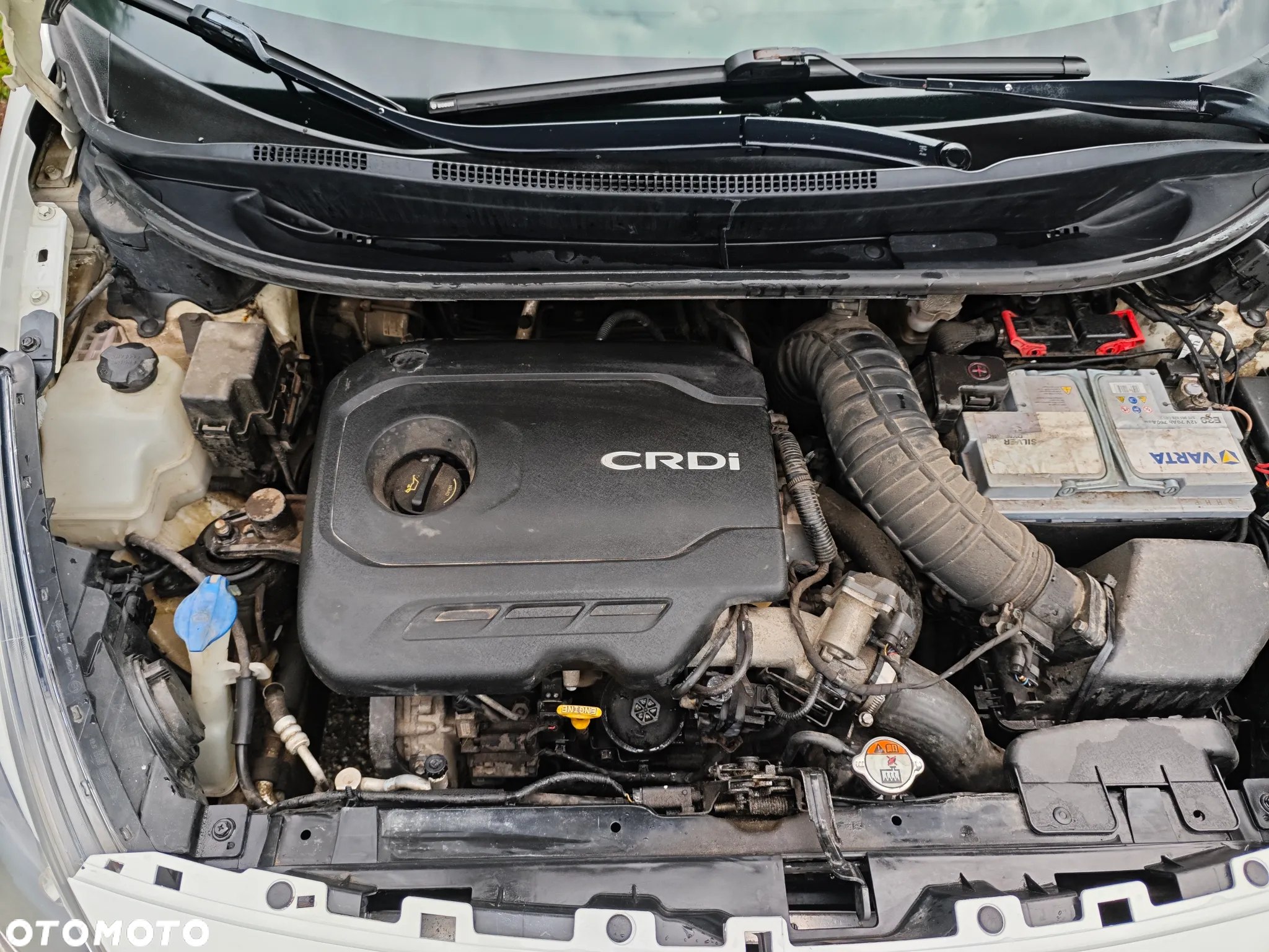Kia Rio 1.1 CRDI Dream-Team Edition - 9