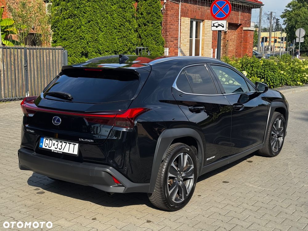 Lexus UX 250h GPF Prestige 2WD - 12
