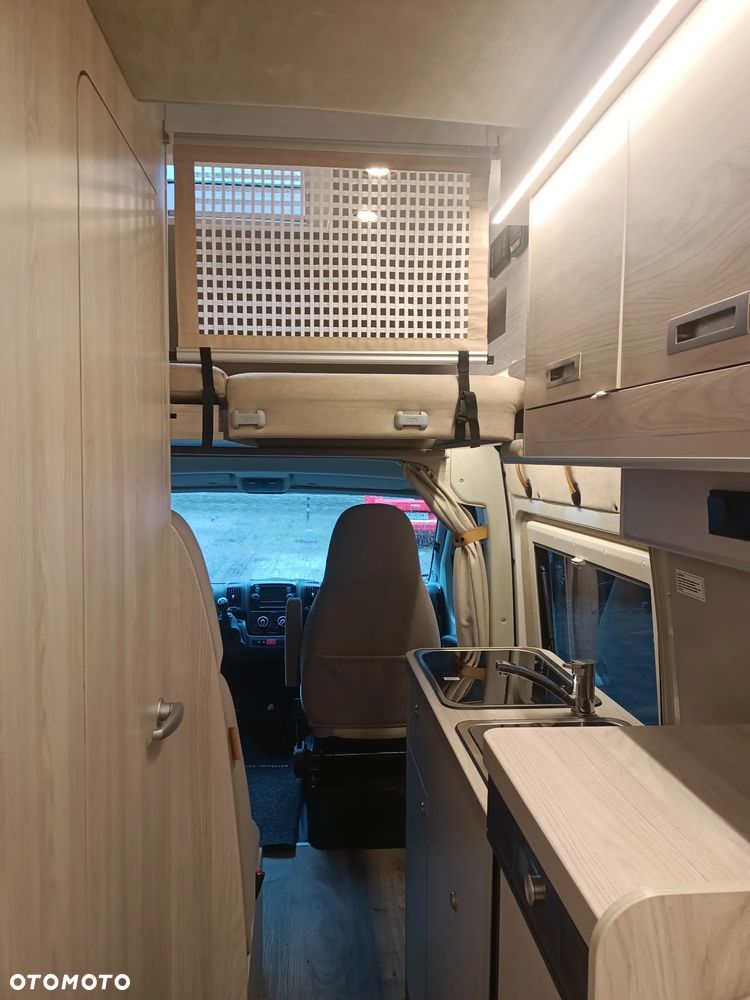 Globe-Traveller Pathfinder - 16
