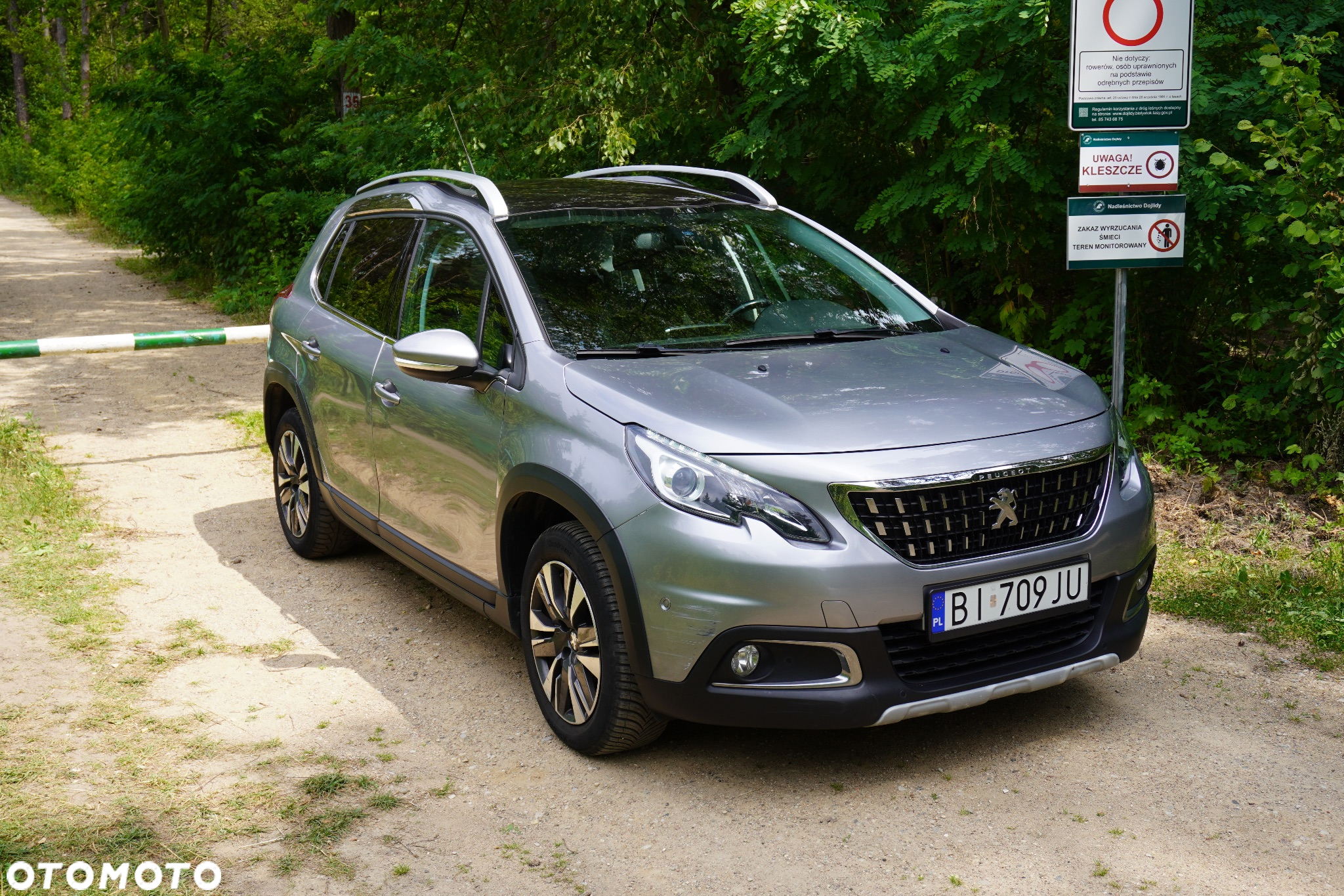 Peugeot 2008 1.2 Pure Tech Allure S&S EAT6 - 4