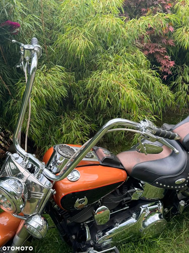Harley-Davidson Softail - 7