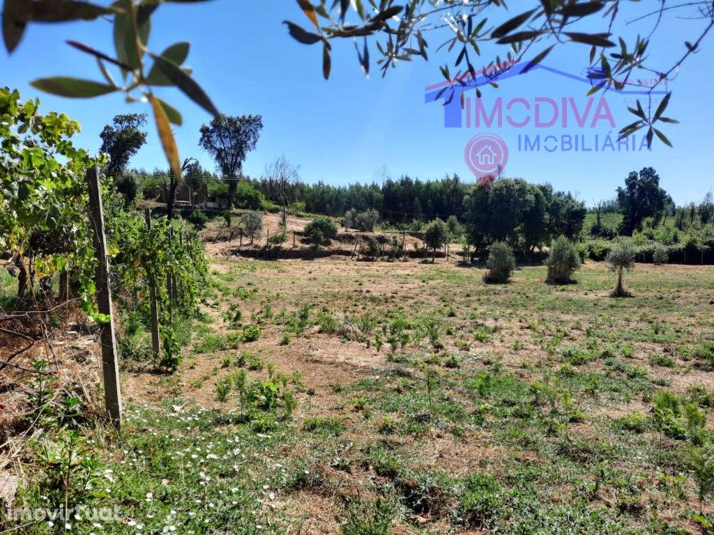 Terreno com ruina e água, em Graça, Pedrógão Grande - Grande imagem: 5/20