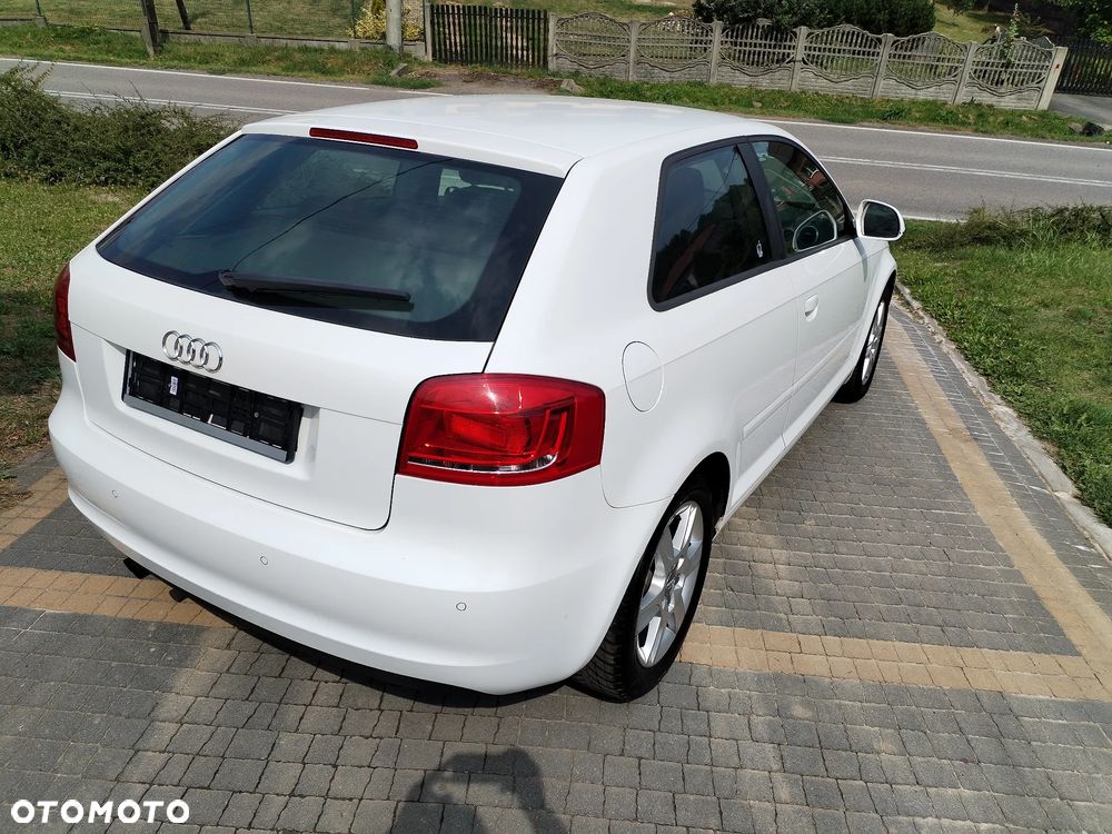 Audi A3 3-drzwiowe 1.6 Ambiente - 7