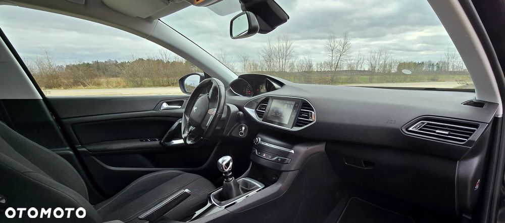 Peugeot 308 1.6 BlueHDi Active S&S - 13