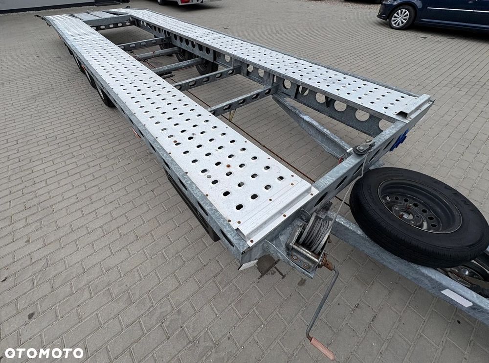 Wiola - 3