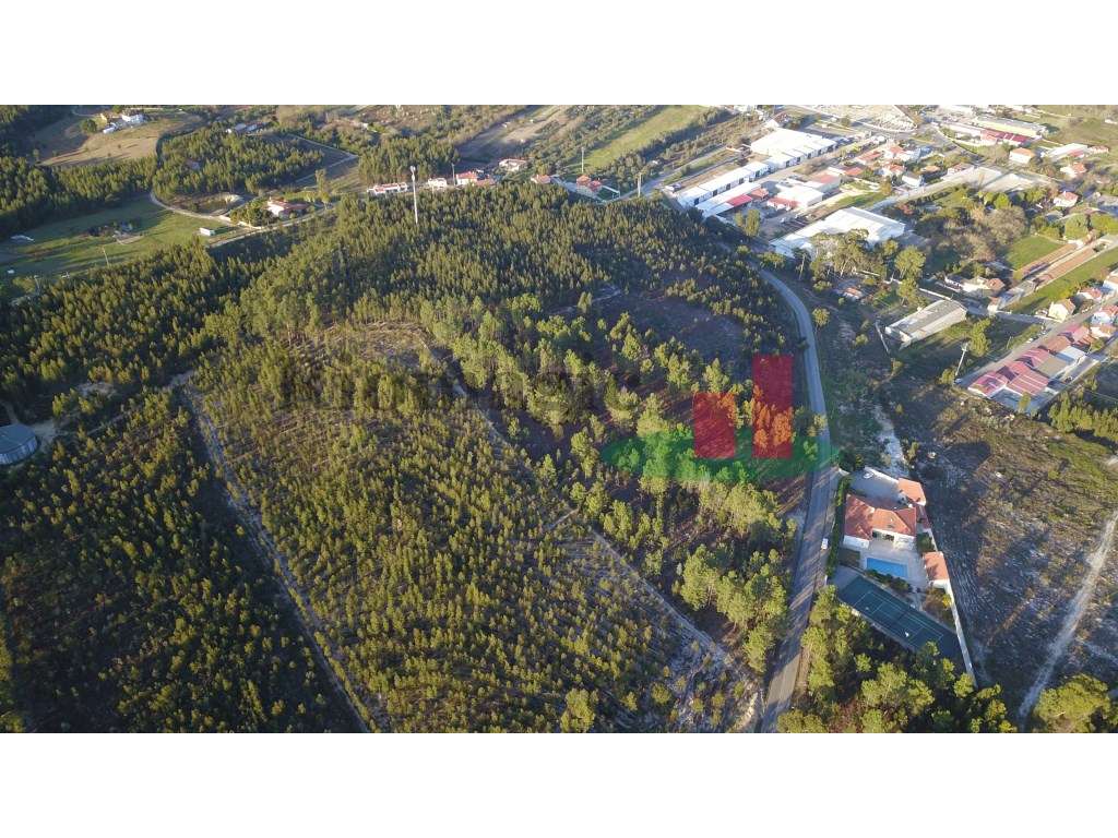 Terreno com Viabilidade para Loteamento - Grande imagem: 5/15