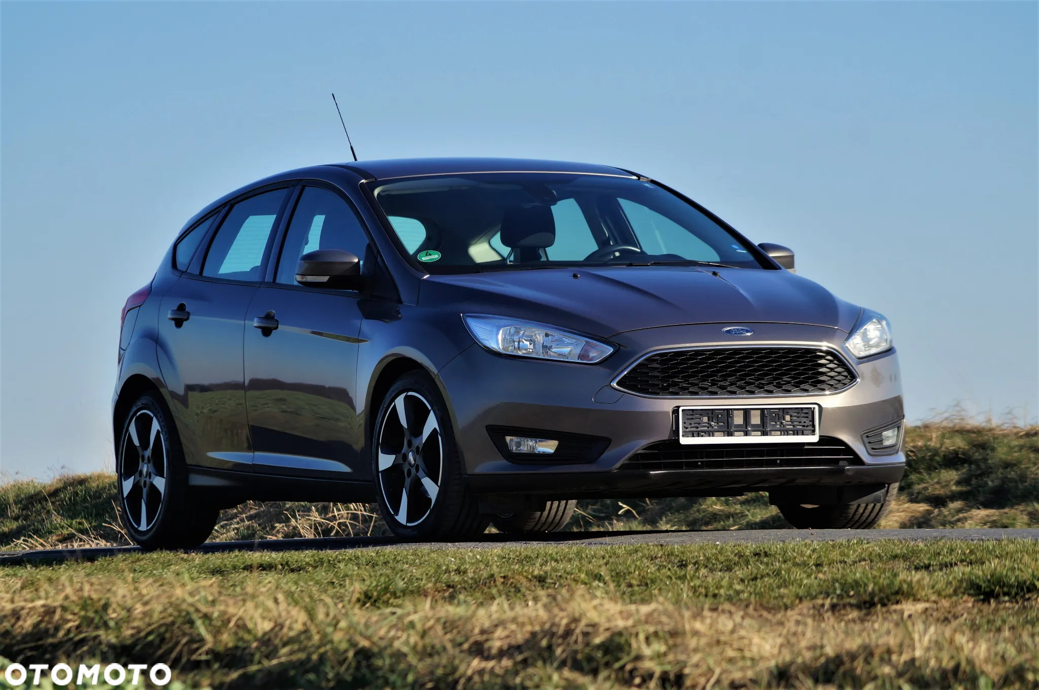 Ford Focus - 8