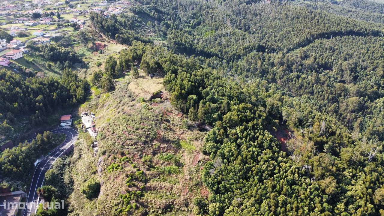 Terreno agrícola - Gaula, Santa Cruz - Ilha da Madeira - Grande imagem: 3/11