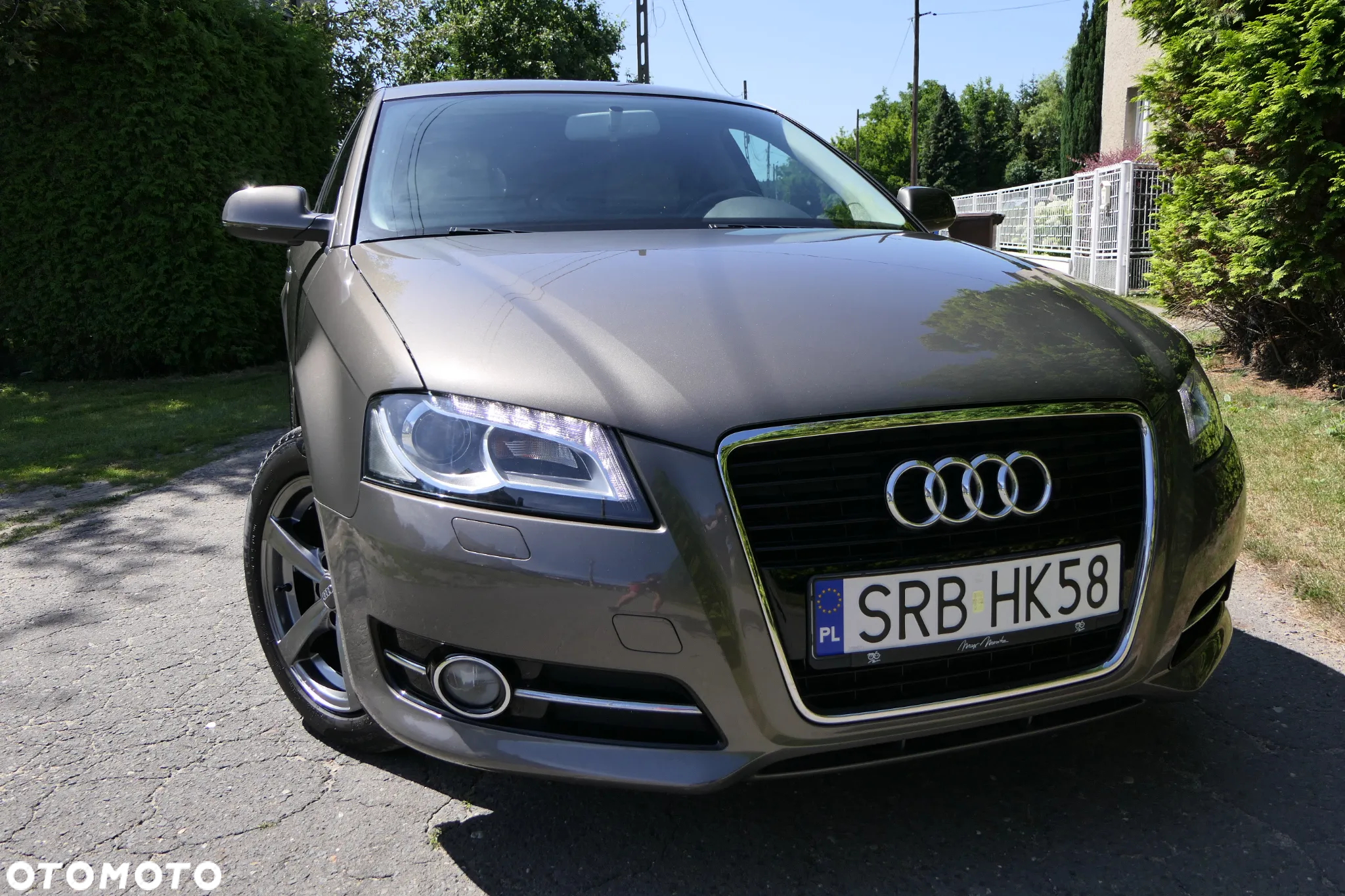Audi A3 1.6 TDI Ambiente - 10