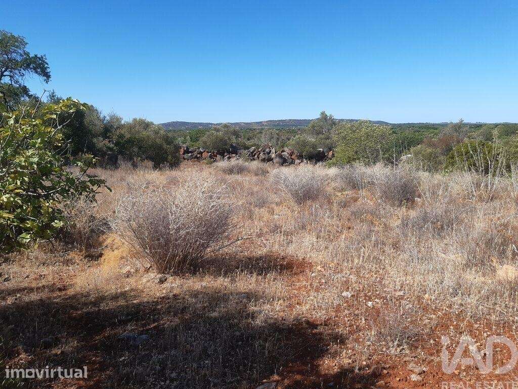 Terreno Agrícola em Alte - Grande imagem: 2/5