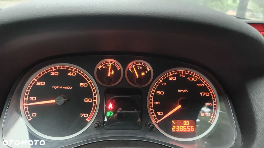 Peugeot 307 1.6 - 12