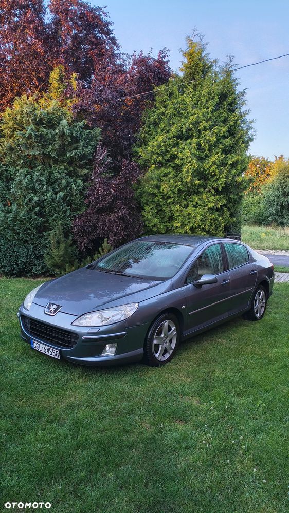 Peugeot 407 2.0 HDI Intense - 1