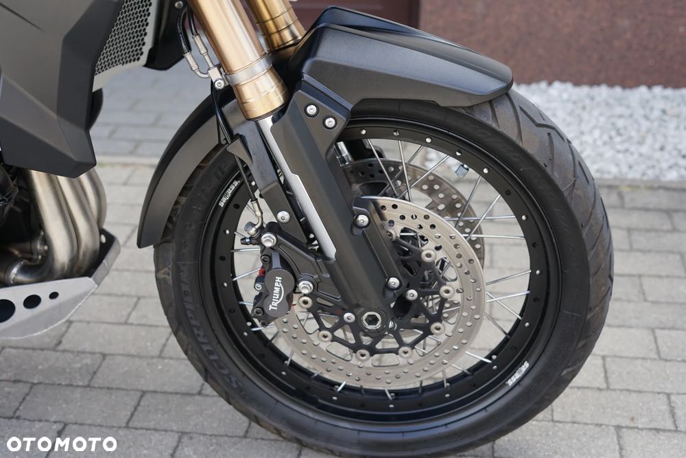 Triumph Tiger - 14