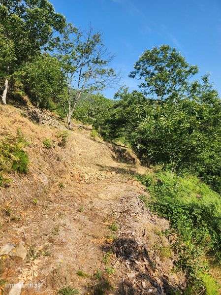 Terreno Rústico em Louredo e Fornelos – 1.728 m² - Grande imagem: 2/9