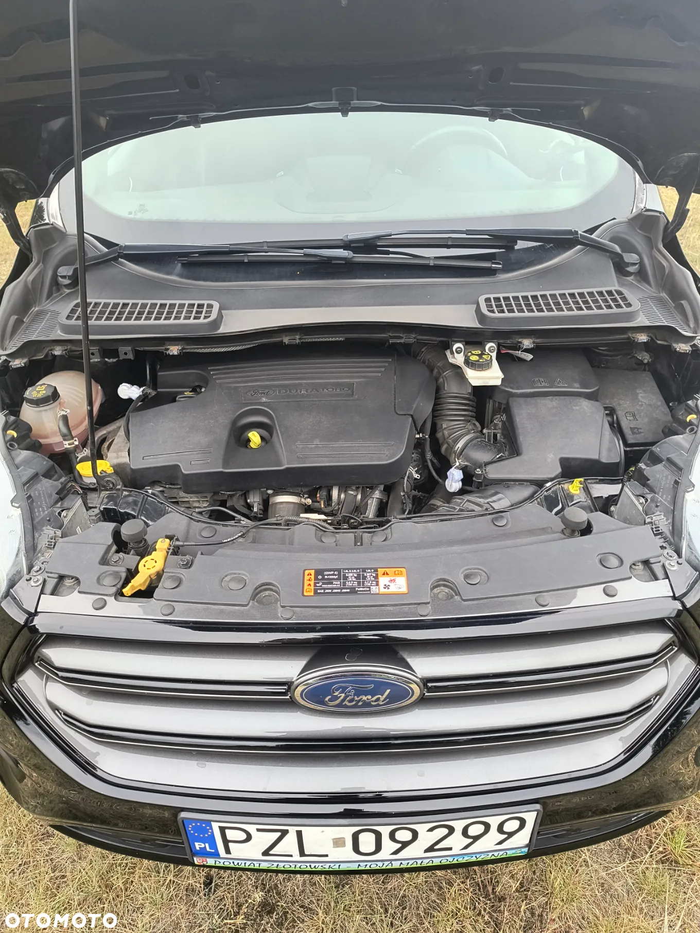 Ford Kuga 2.0 TDCi FWD ST-Line - 6