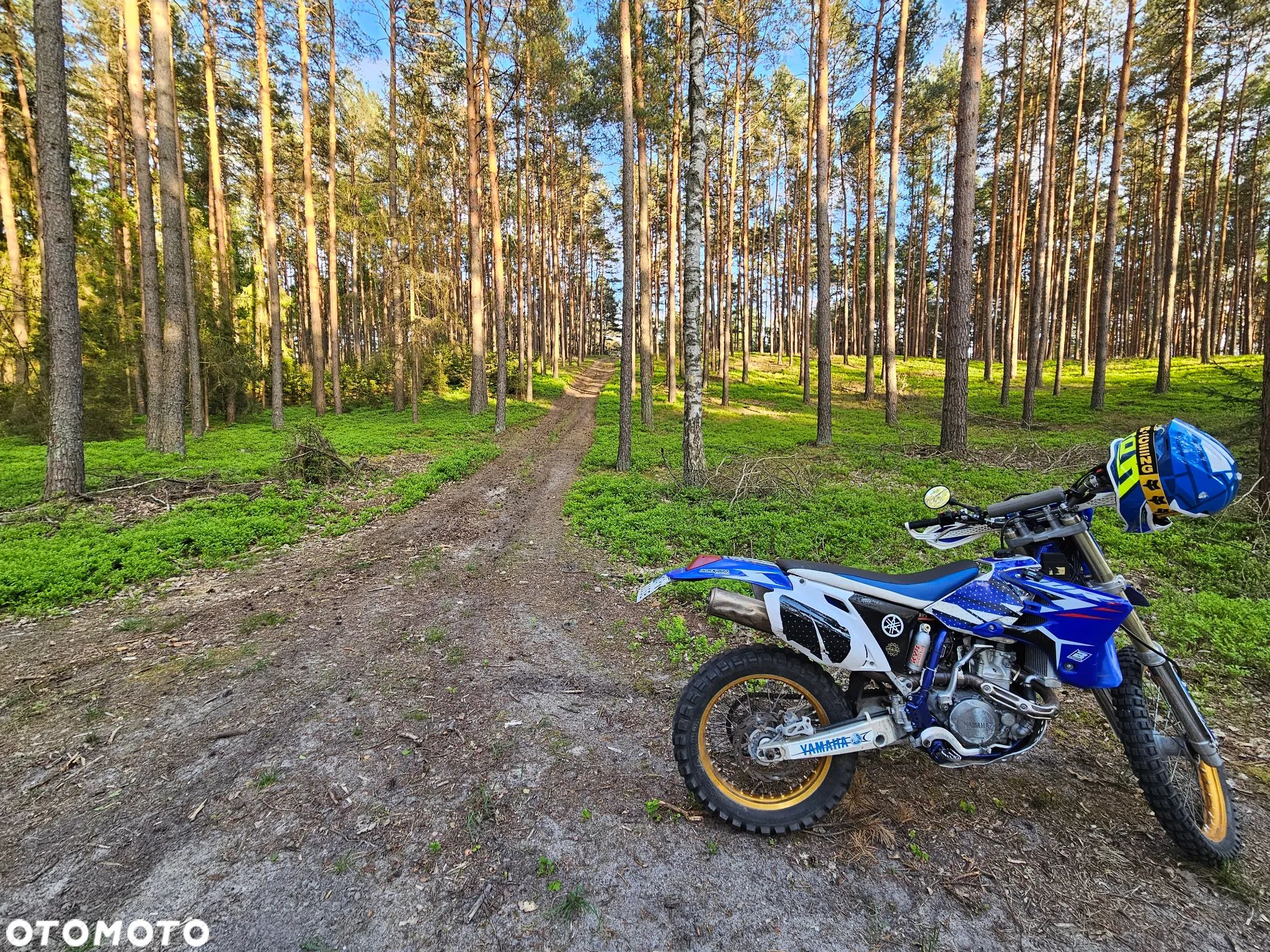 Yamaha WR