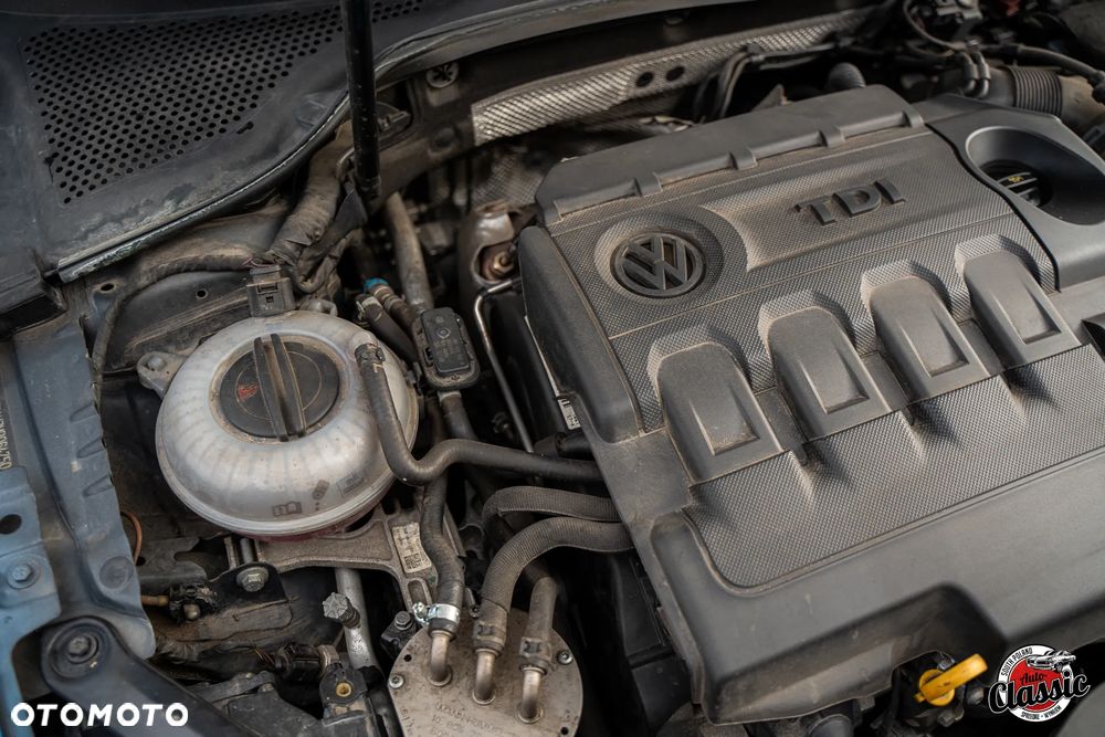 Volkswagen Golf - 17