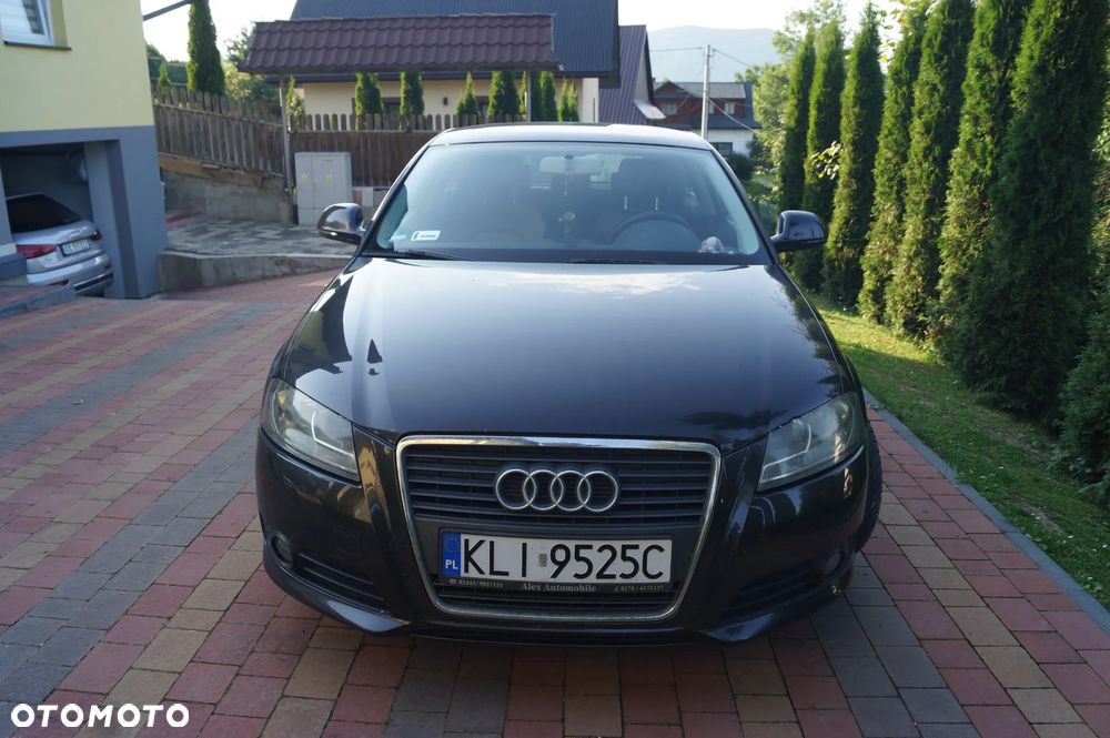 Audi A3 3-drzwiowe 2.0 TDI Attraction - 7