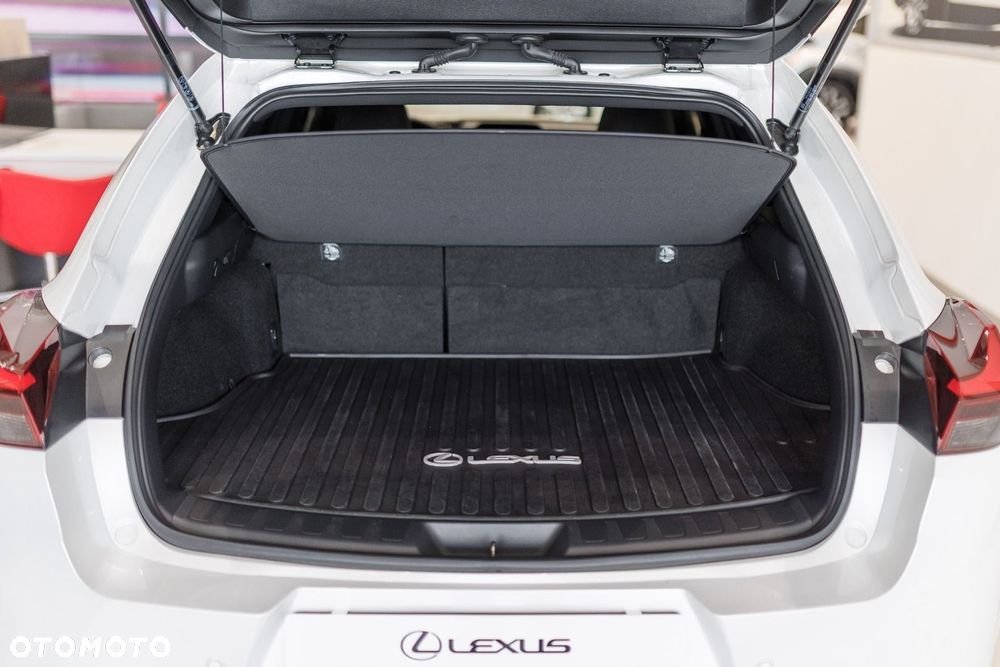 Lexus UX - 18