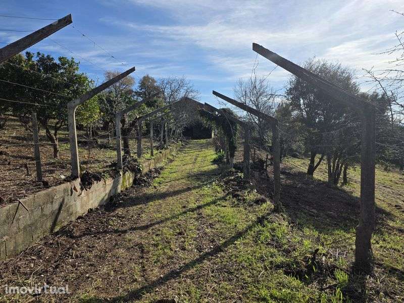 Propriedade Urbana com 8.700m² – Privacidade Total - Grande imagem: 2/4