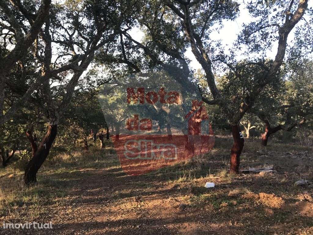 Magnífico Terreno em São Francisco da Serra - Grande imagem: 4/8