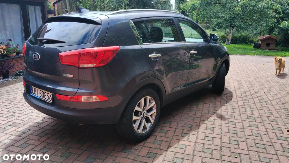 Kia Sportage - 6