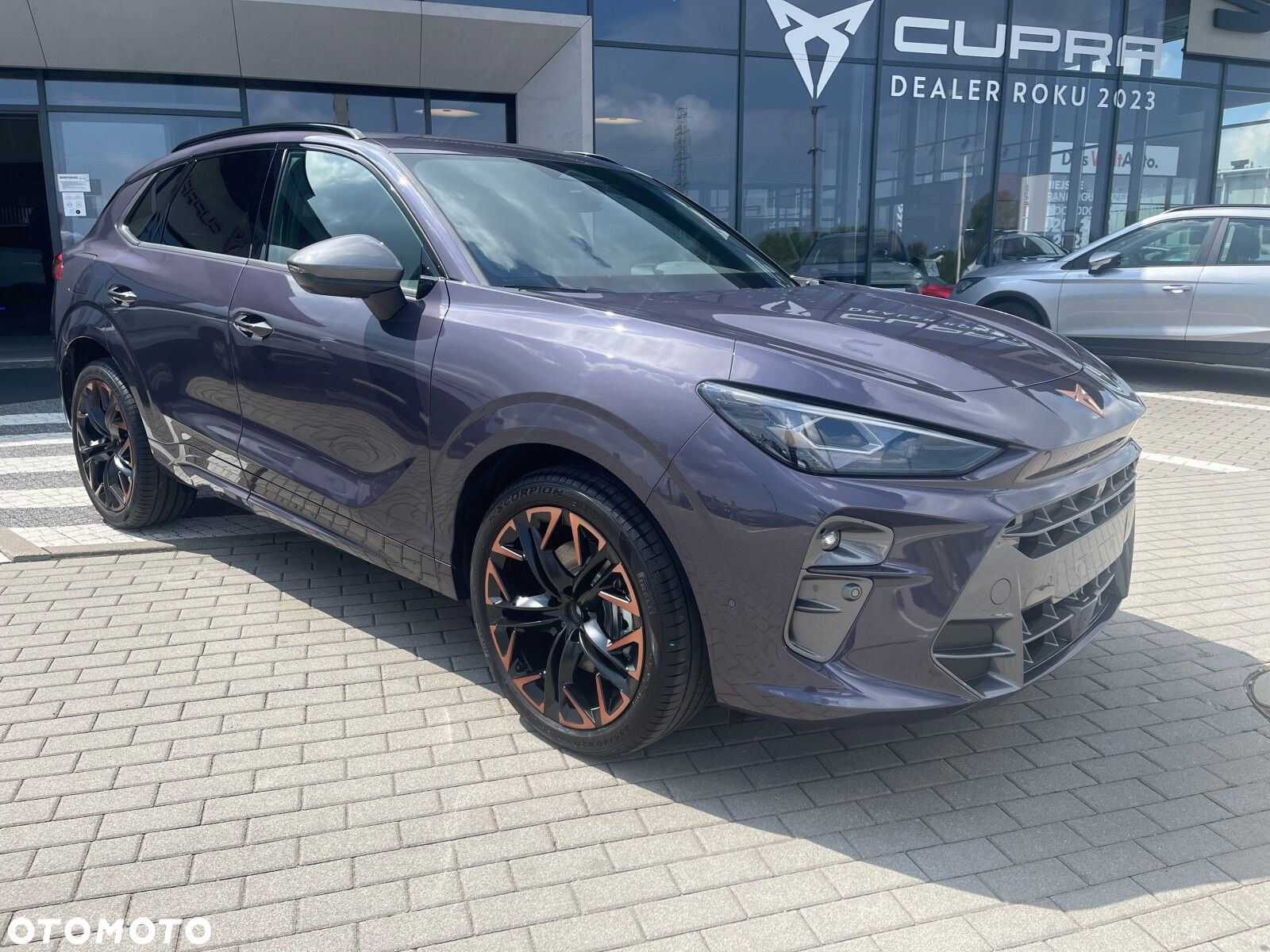Cupra Terramar - 10
