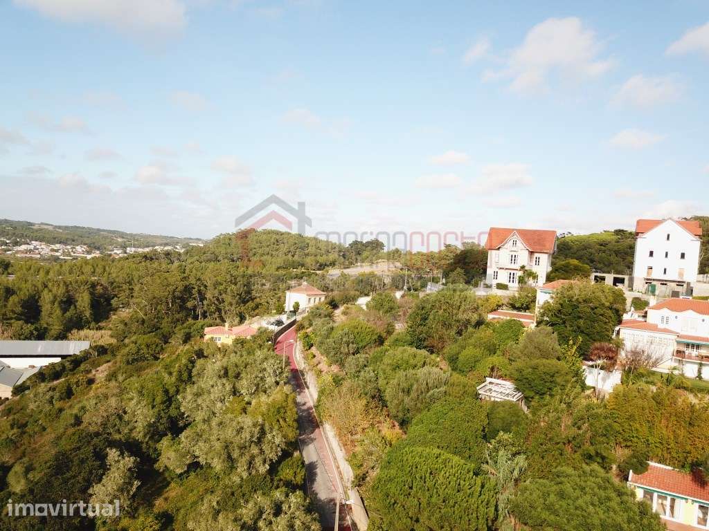 Projeto 'Evolução' - A Joia de Sintra - Grande imagem: 3/23