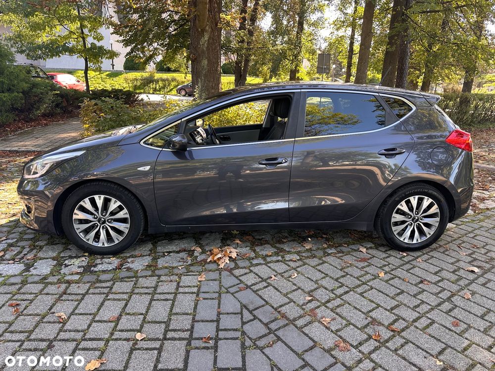 Kia Ceed - 31