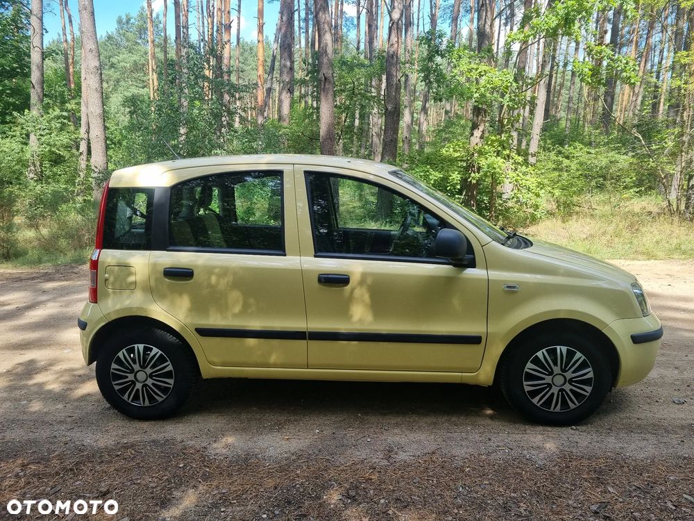Fiat Panda 1.2 Active - 8