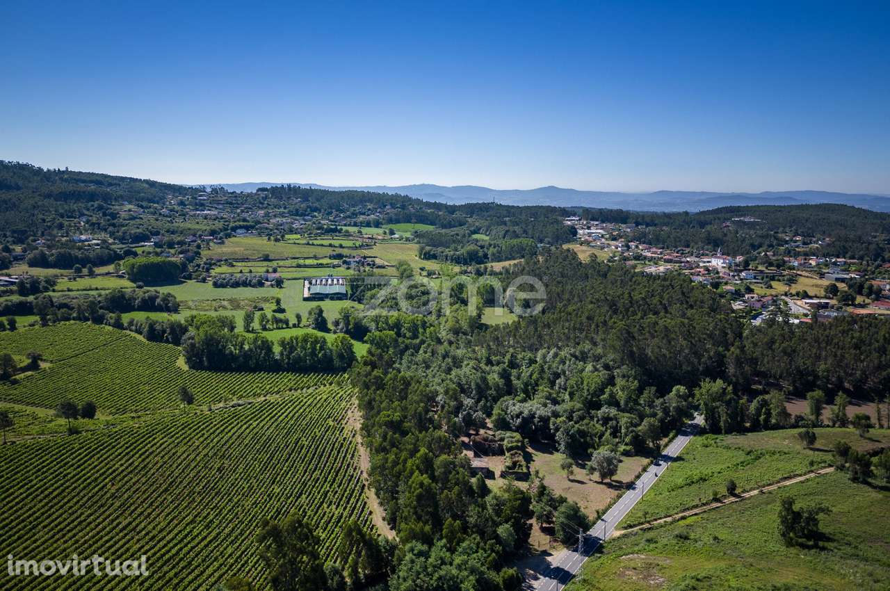 Quinta em ruina c/ 24.650m2 de terreno em Arcozelo, Vila Verde - Grande imagem: 3/32