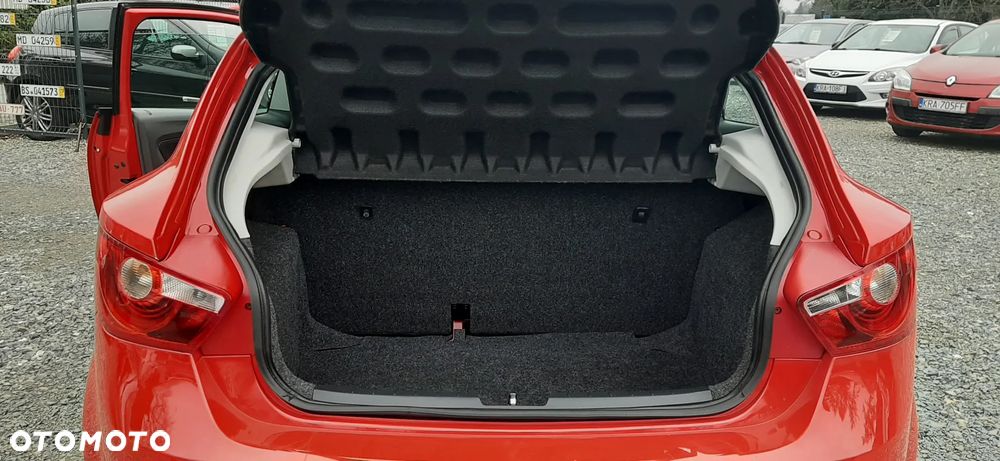 Seat Ibiza - 39