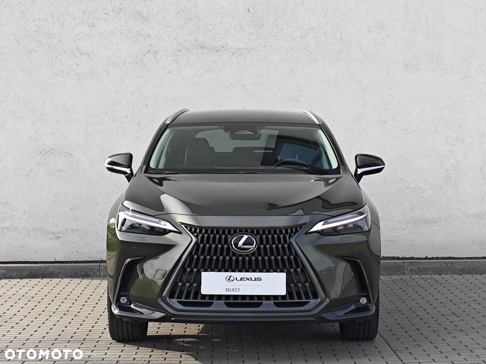 Lexus NX 350h Prestige AWD - 7