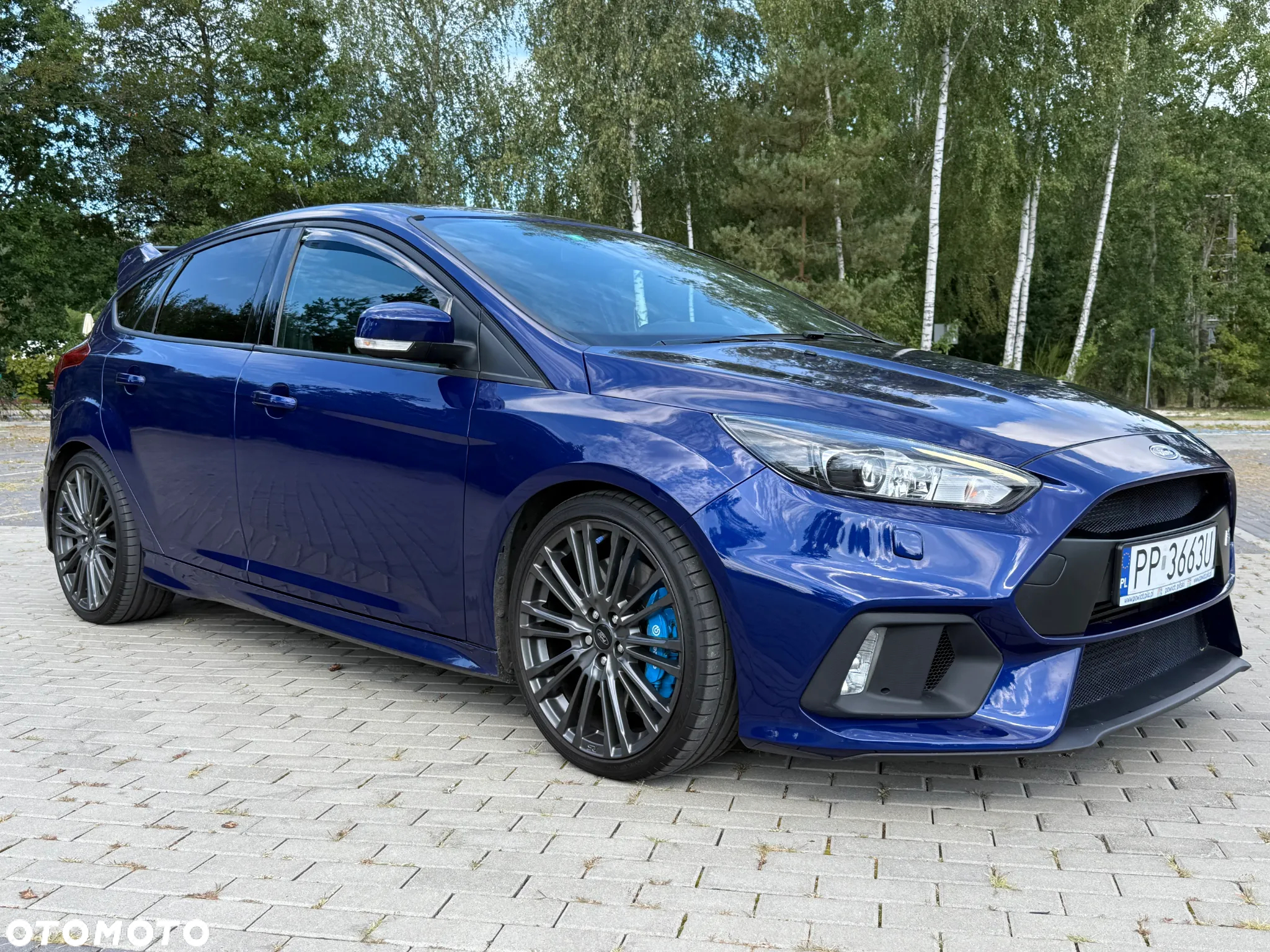 Ford Focus 2.3 EcoBoost S&S Allrad RS - 28