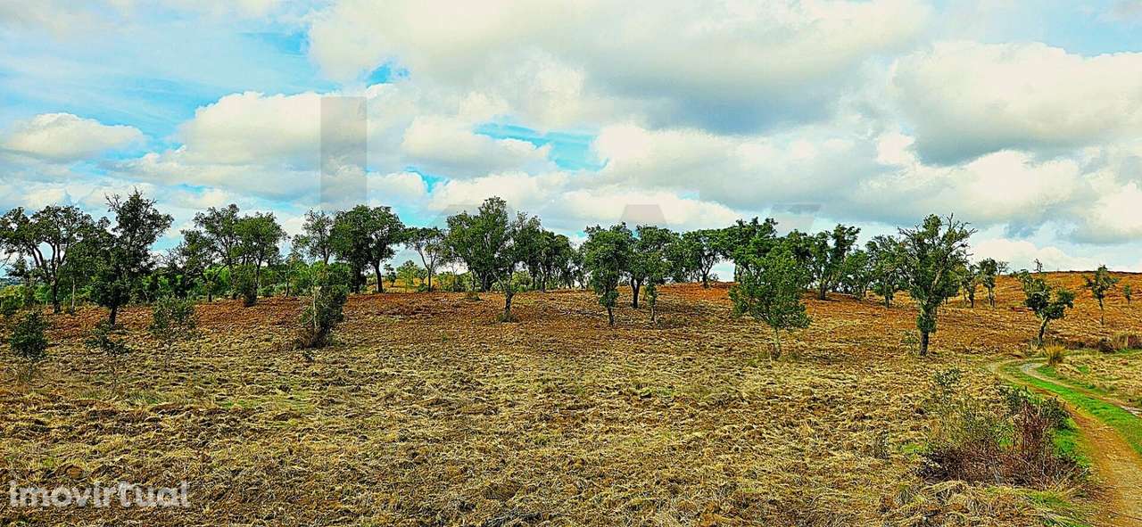 Herdade Exclusiva em Grândola: 35 Hectares, Vistas 360º e Viabilidade - Grande imagem: 3/40