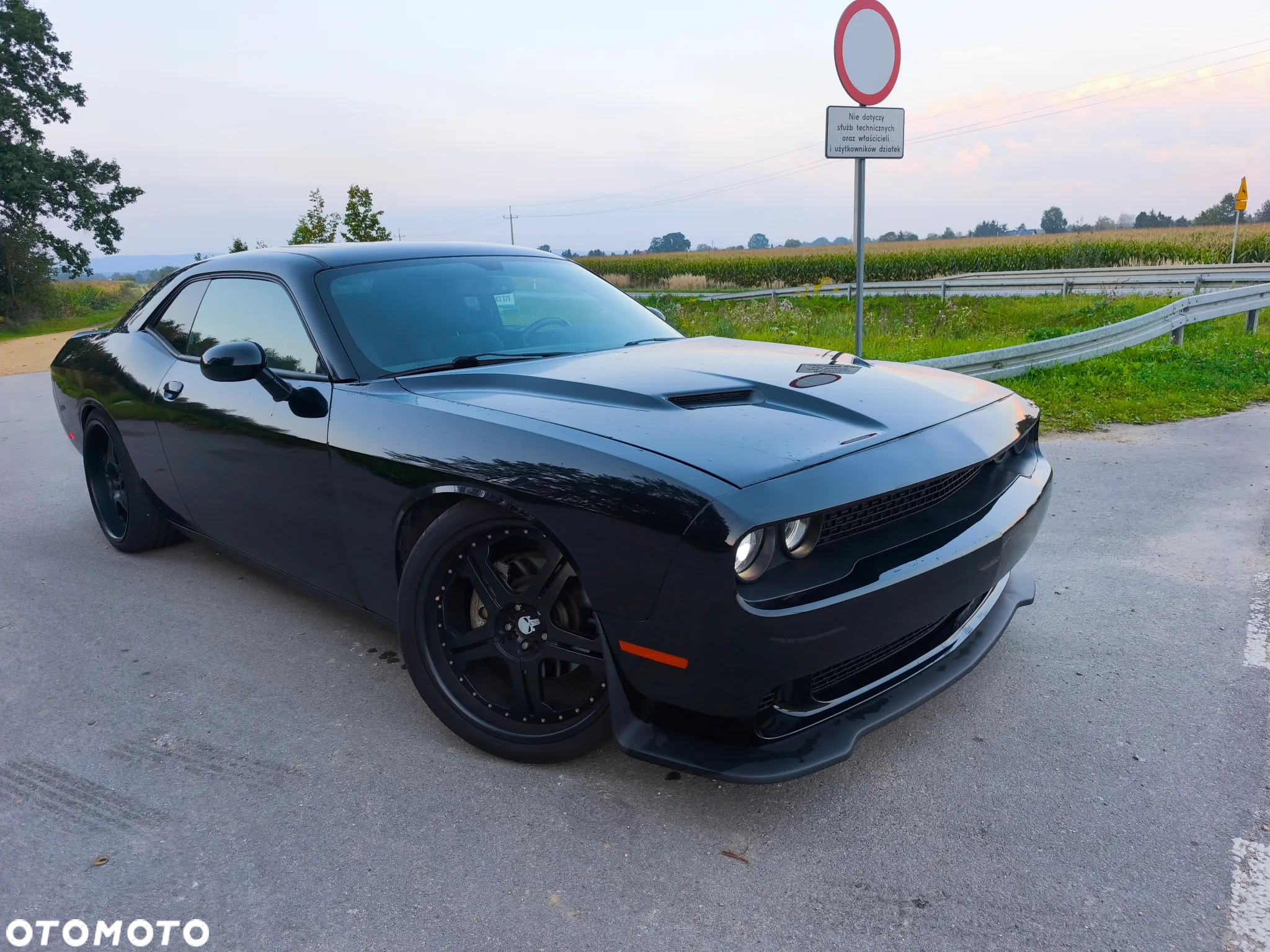 Dodge Challenger - 10