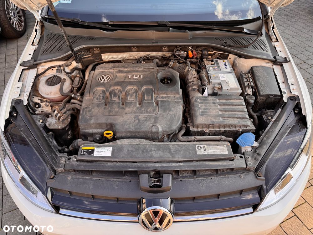 Volkswagen Golf VII 1.6 TDI BMT Trendline - 7