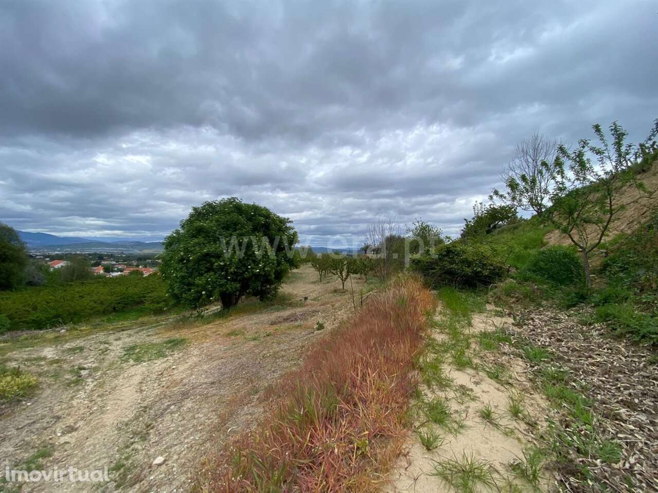 Terreno / Fundão, Fundão - Grande imagem: 4/6