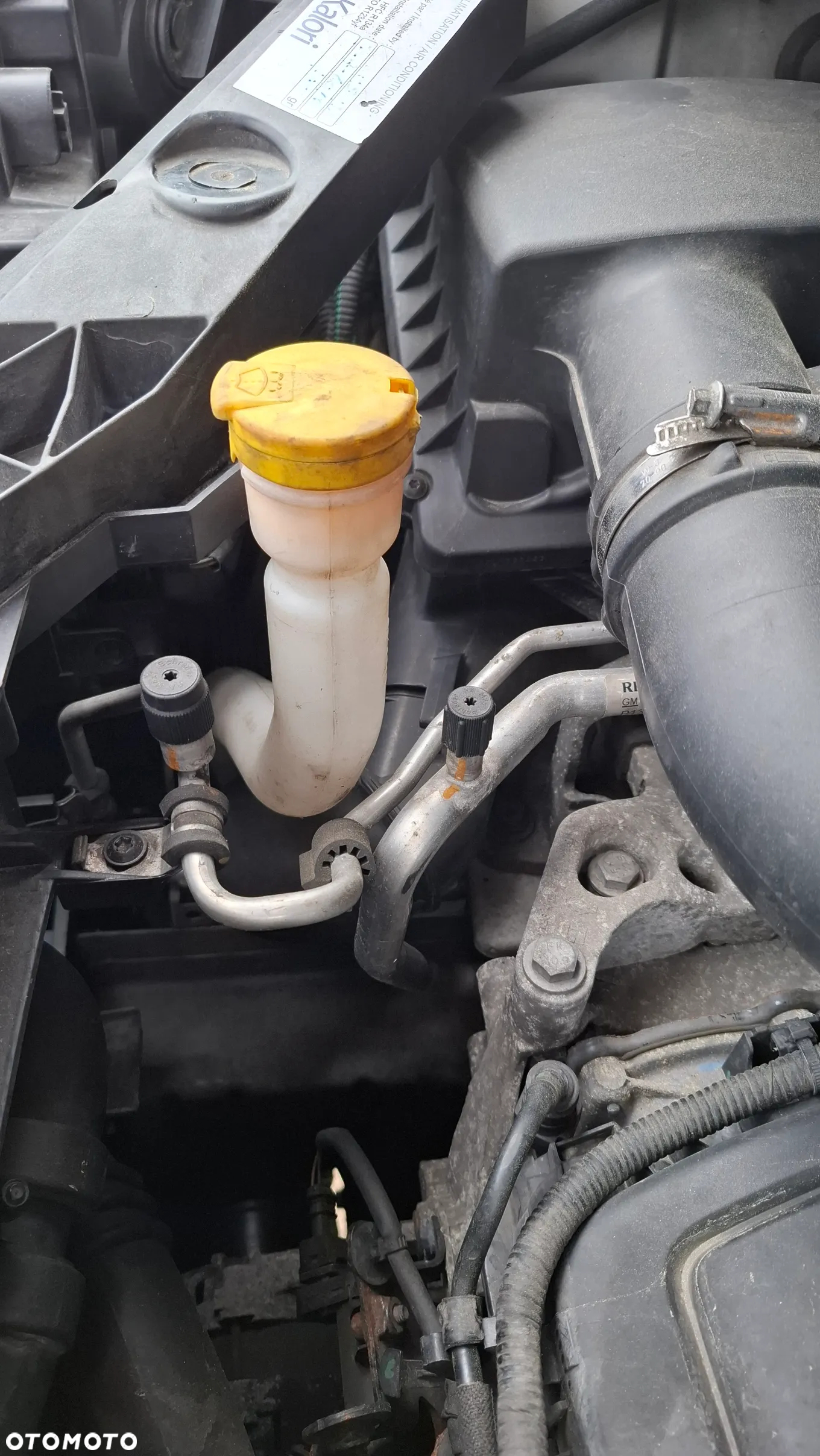 Renault Trafic - 35