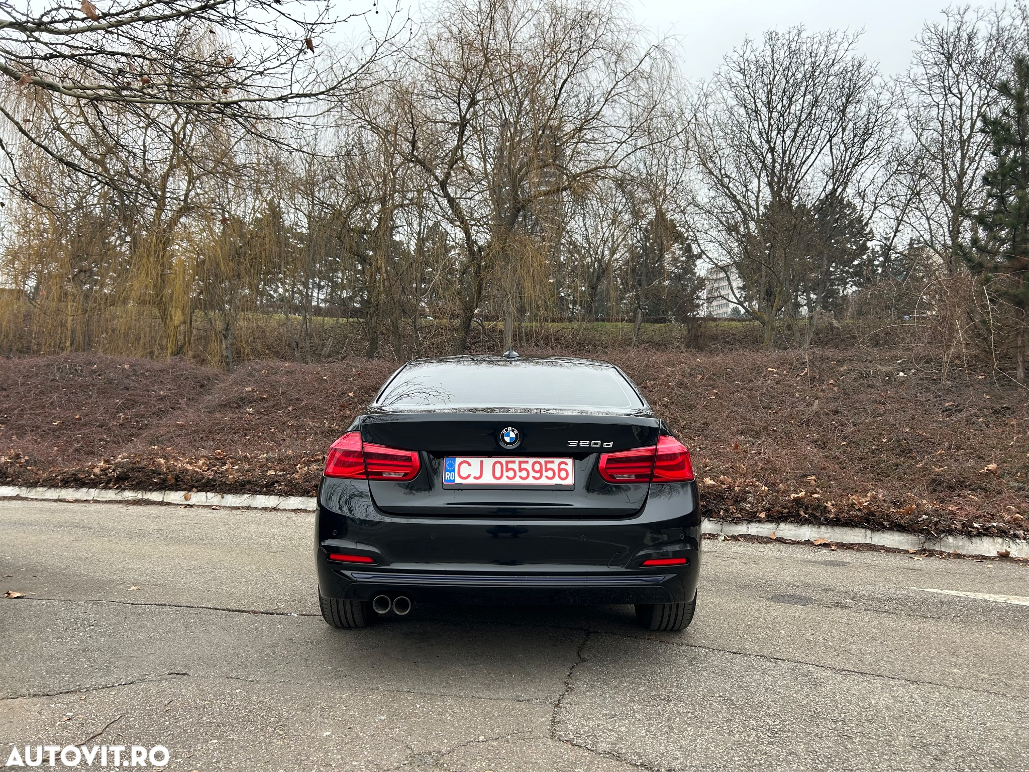 BMW Seria 3 320d Aut. Luxury Line - 12
