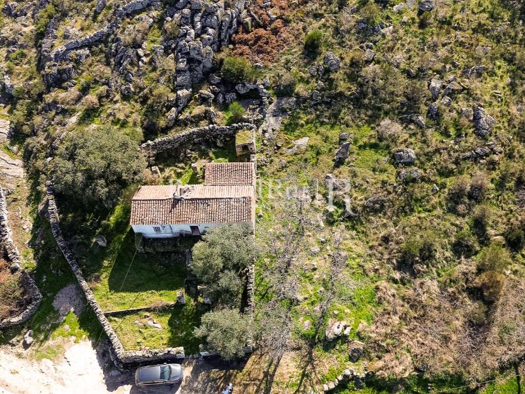 Quintinha com 3 ha e casa para reconstrução - Grande imagem: 2/58