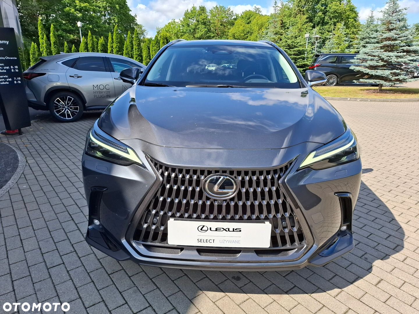Lexus NX - 8