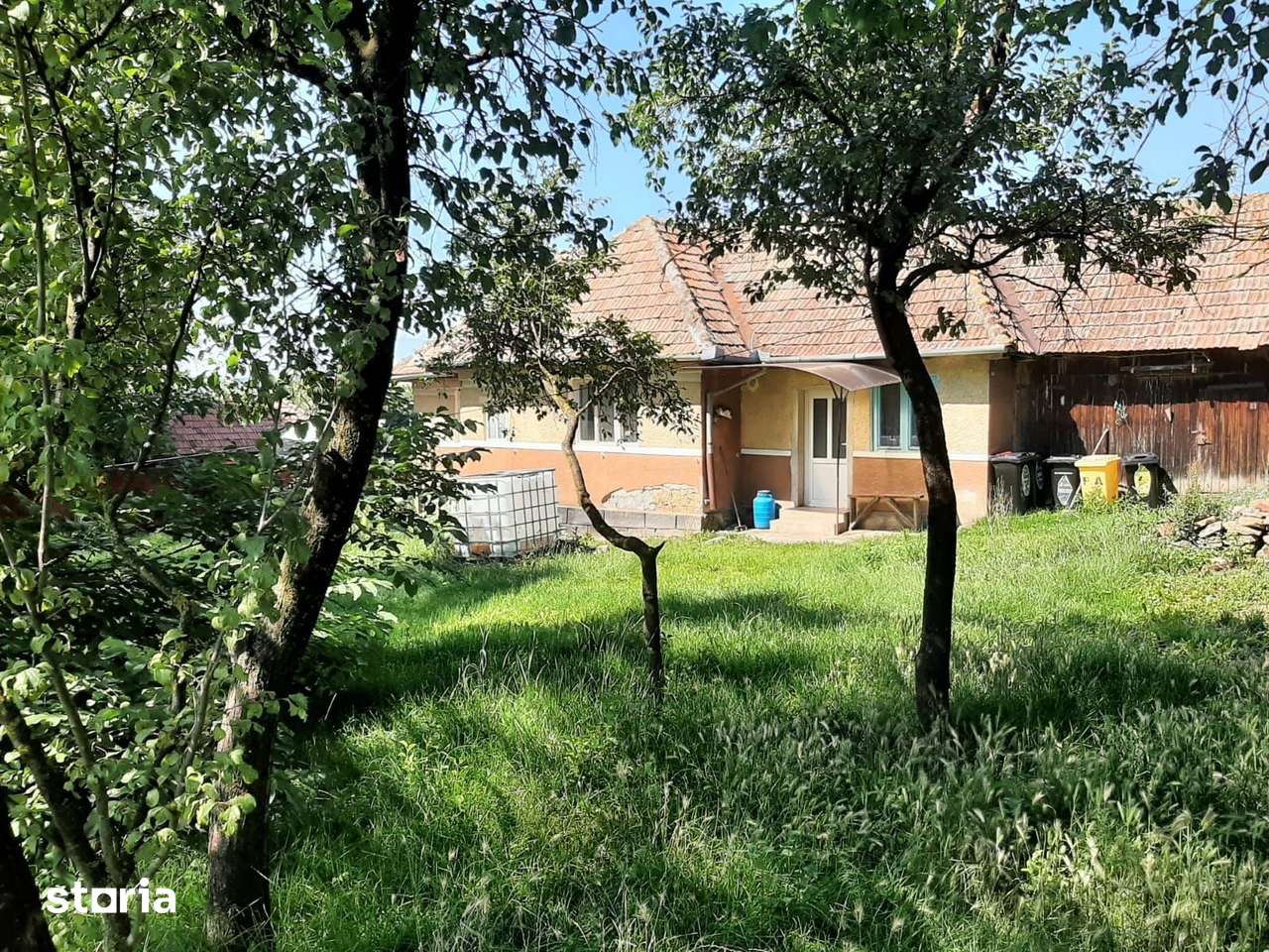 Teren cu utilitati si casa veche in Rediu - Imagine principală: 3/9