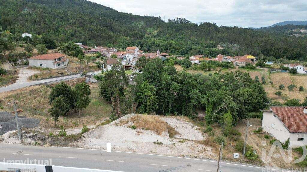 Terreno Agrícola em São Miguel, Santa Eufémia e Rabaçal - Grande imagem: 5/22